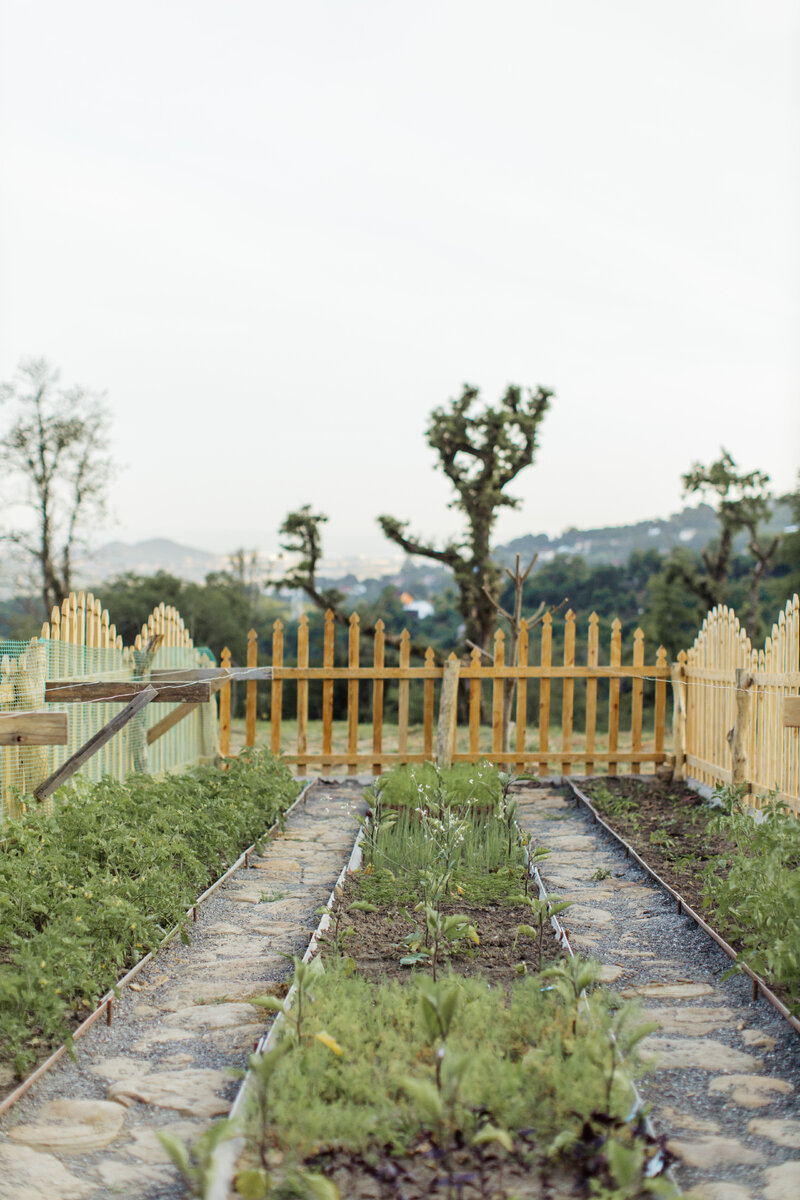 Фото автора Anastasia Shuraeva: Pexels 