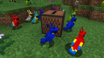 Танцы попугаев в Майнкрафт