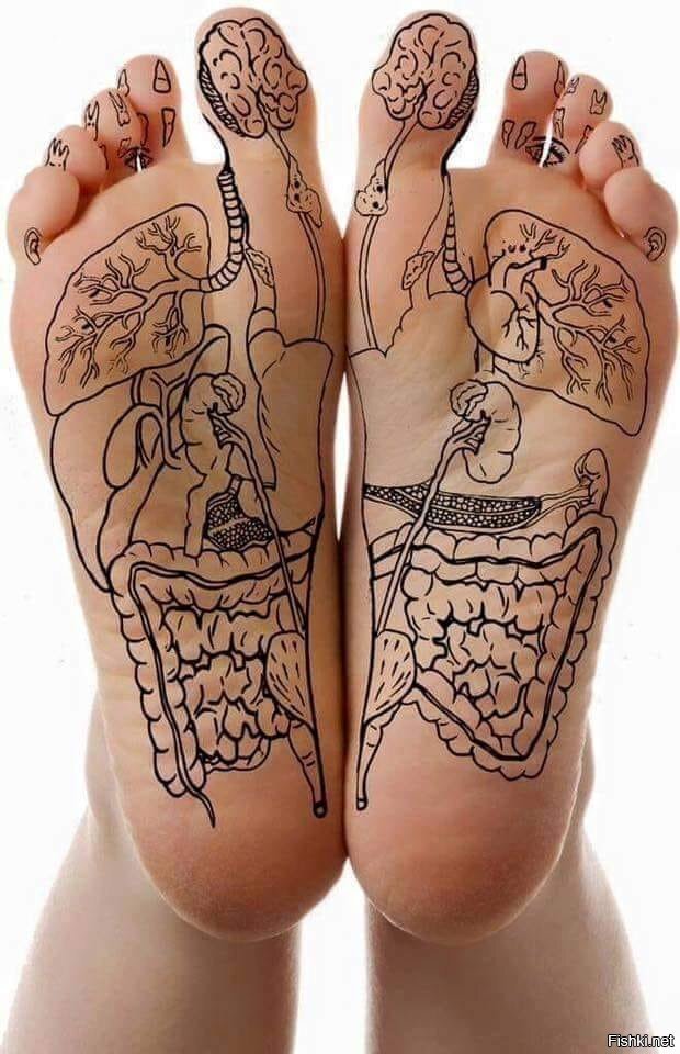 Фото:  автор материала Снежана Моско