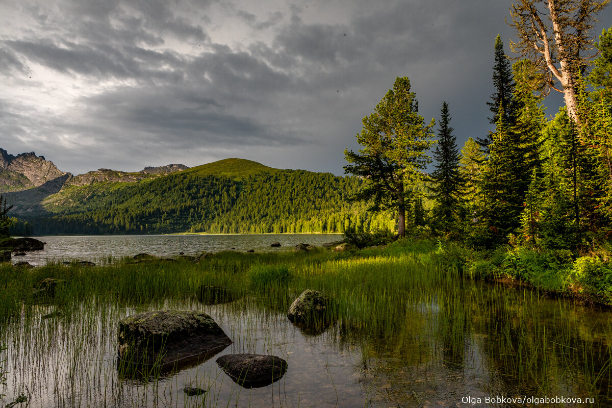 Солнце каждый пейзаж делает совершенным