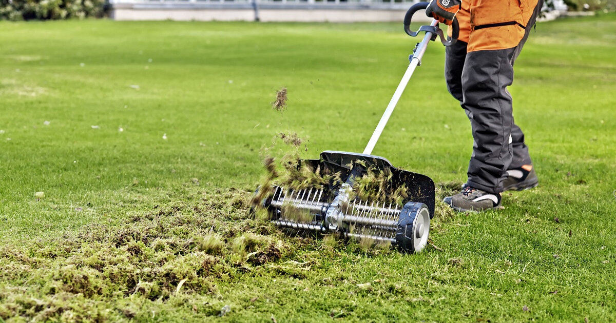 Вертикуляция газона