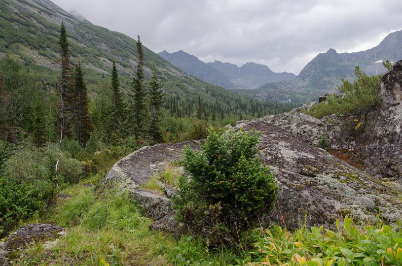 Баргузинский заповедник, для наглядного примера