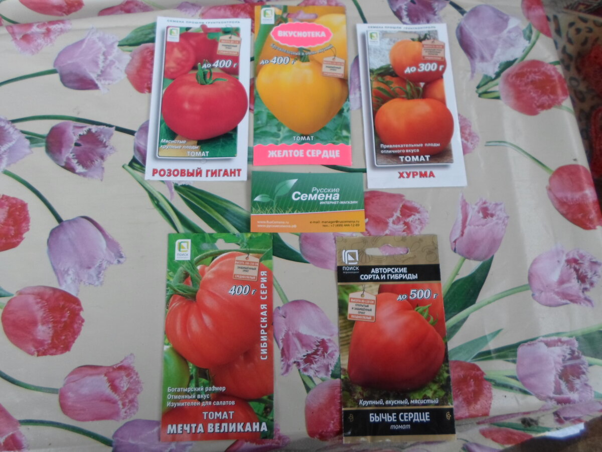 Докупленные семена томатов.