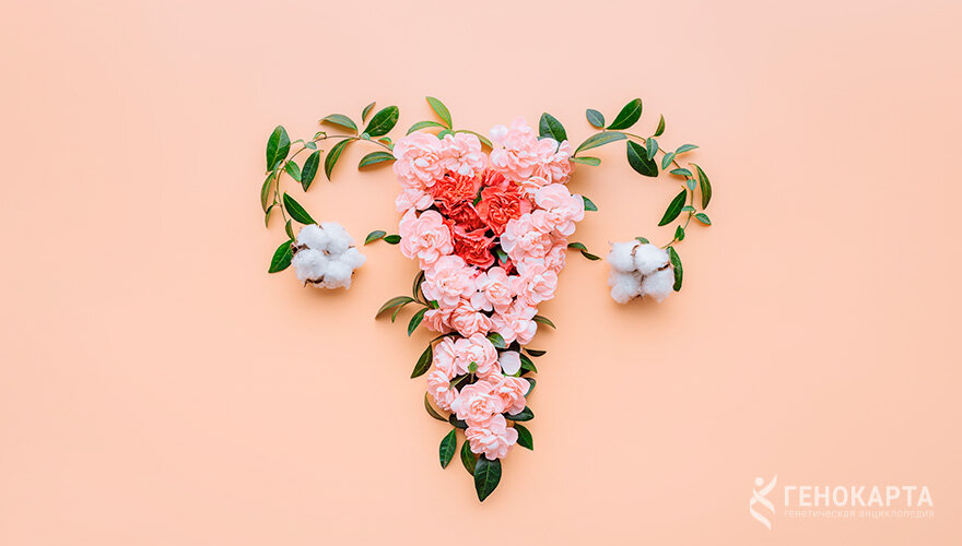 Mikhaylovskiy // shutterstock.com