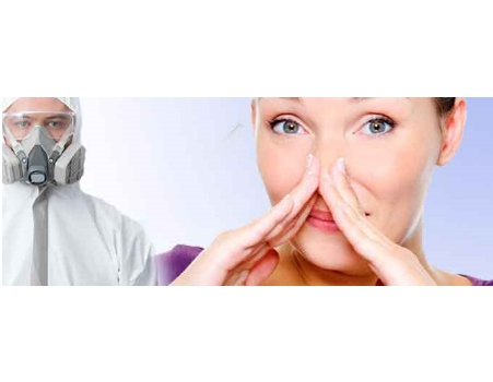 фото из открытого источника