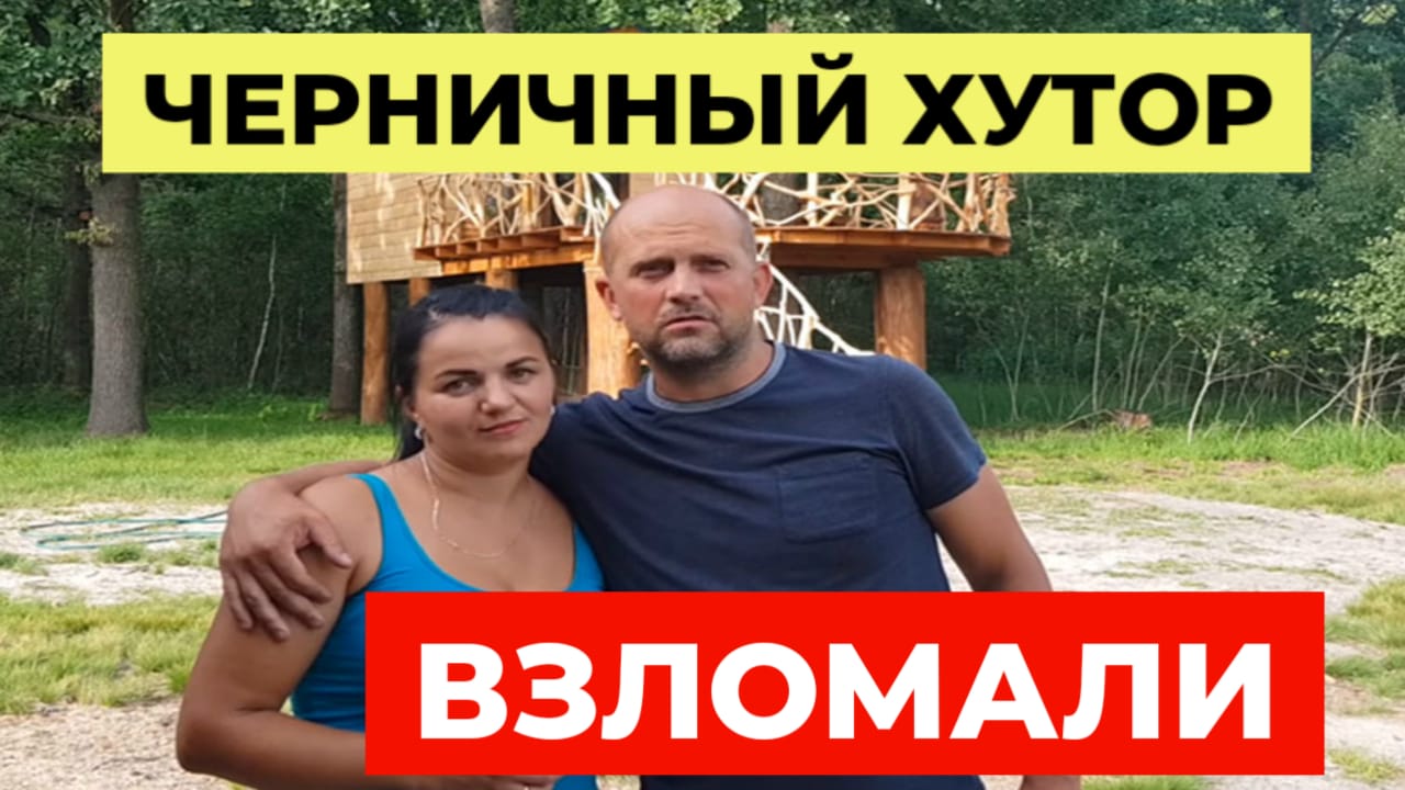 Блогеры черничный хутор на дзен. Черничный хутор. Черничный хутор новое. Блогеры черничный хутор на дзен. Блогеры черничный хутор на дзен.