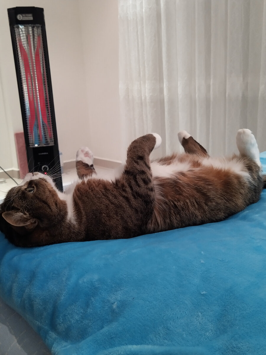 А некоторым перевернуться лень 😄