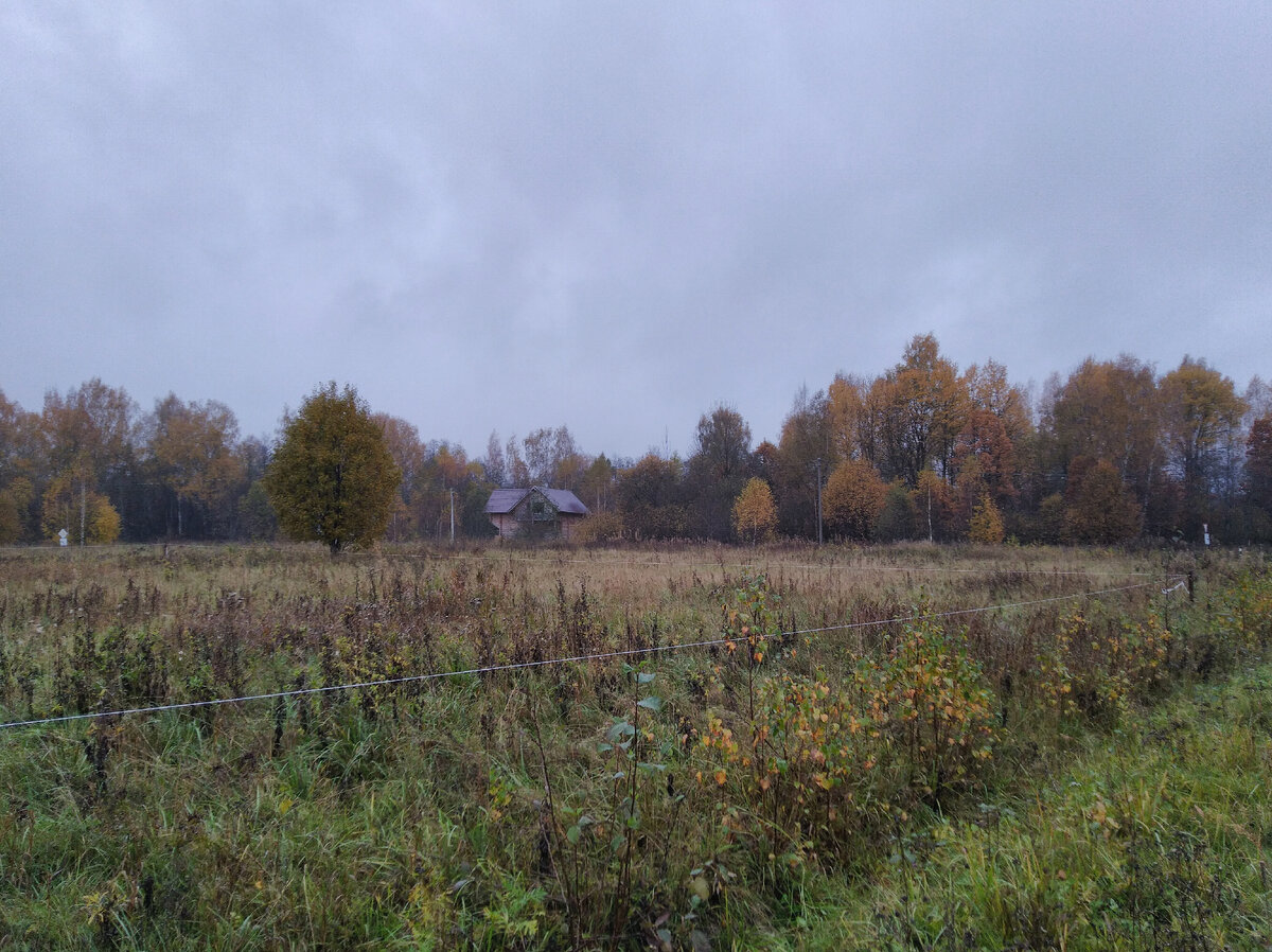 Вид участка при покупке 