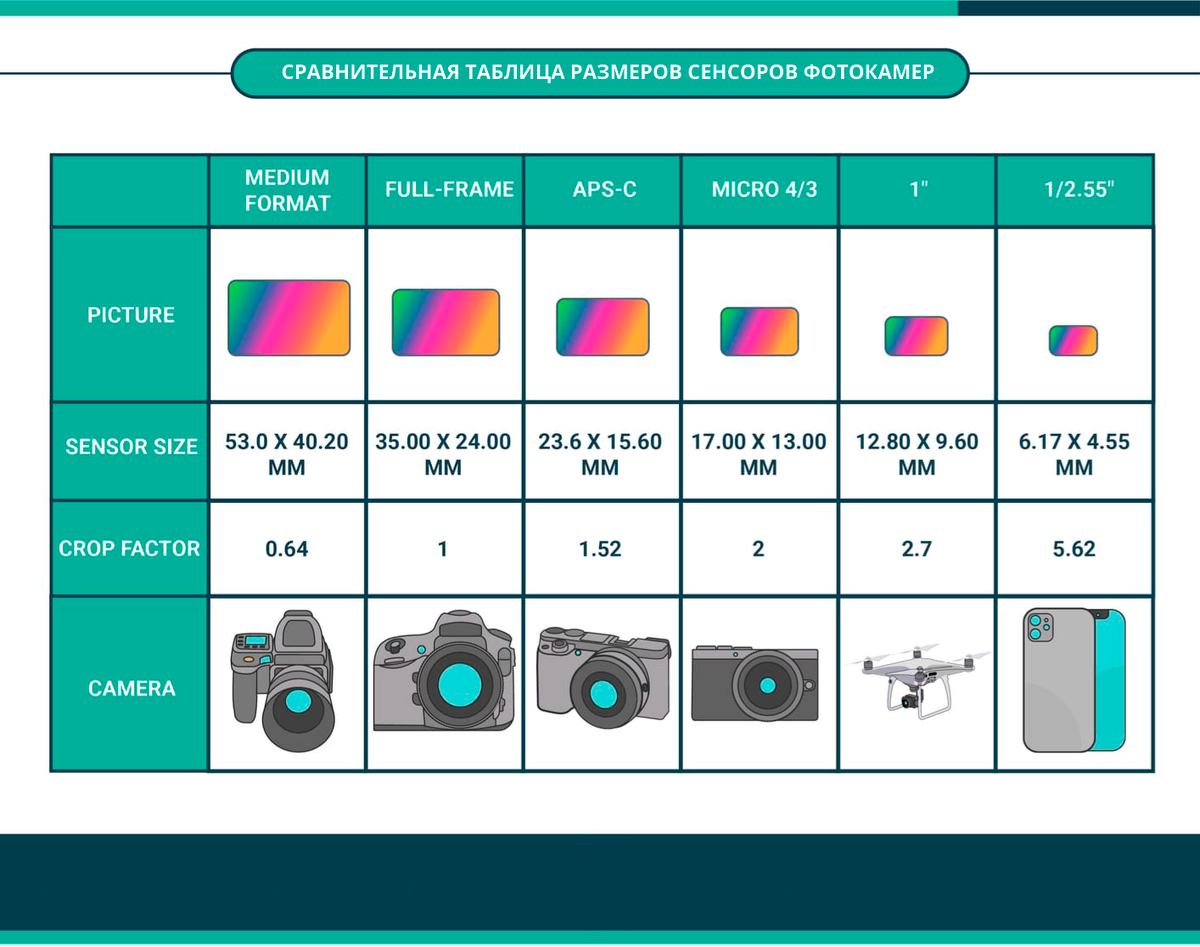 Сравнительная таблица размеров сенсоров фотокамер