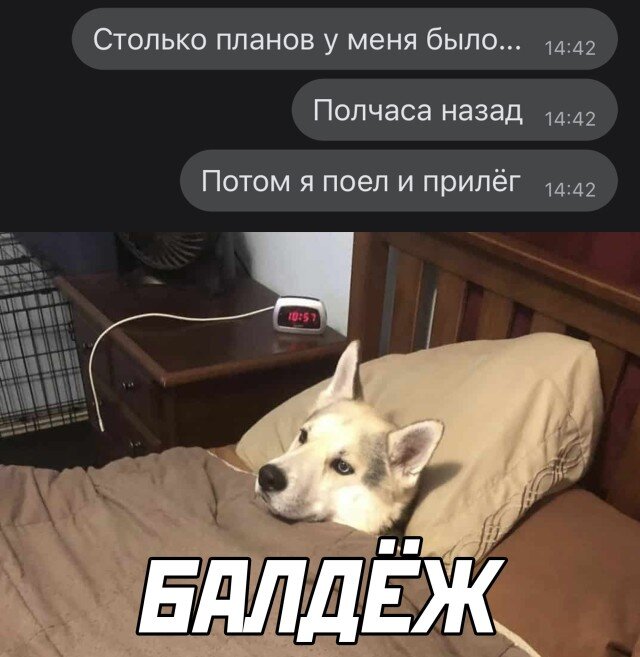 Немного о моих планах