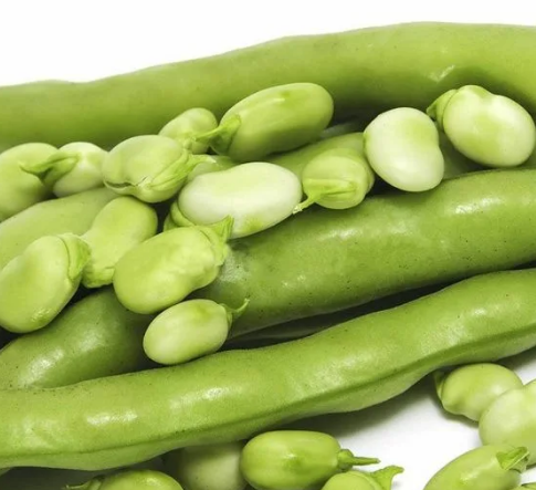 Бобы в молочной спелости - хороши для готовки и заморозки.