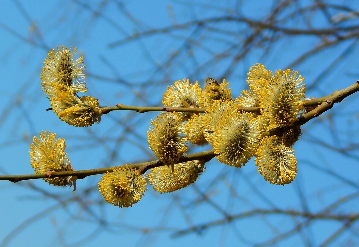 Фото взято с интернета
