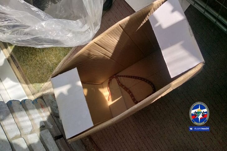    фото МАСС54 ВКонтакте