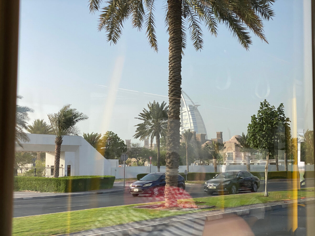 Виды из окна автобуса