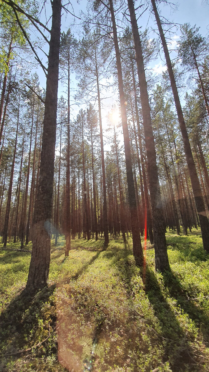 Не забывайте подписываться на канал. Я часто делюсь интересными маршрутами и вкусными местами по всей России