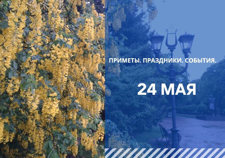 Мокей мокрый 24 мая картинки с надписями