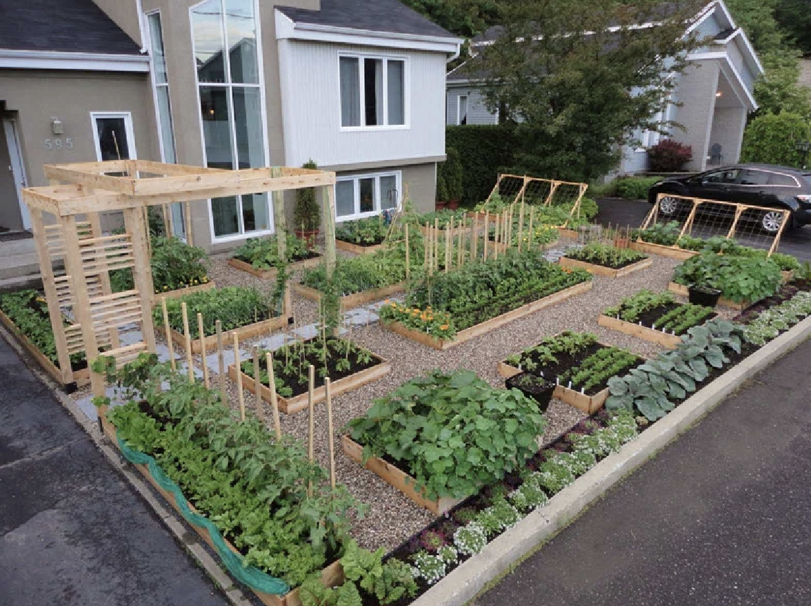 Фото: awakeandaware.ca