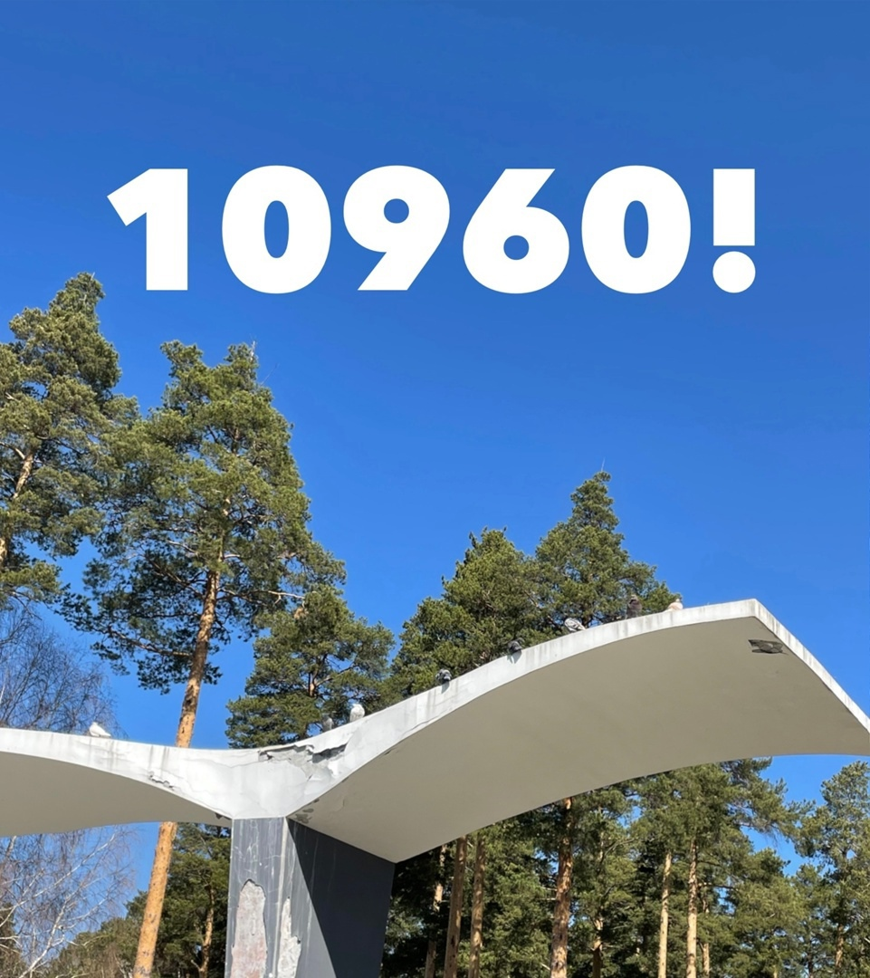 Al gore 2000. кандидаты на выборы 2024 года. джордж буш 2004. изучаем горы. выборы гора.