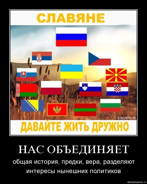 Славяне объединяйтесь картинка