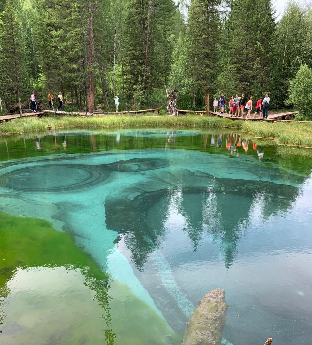 Удивительная природа Алтайского края. Кадры впечатляют. Заставка к рассказу канала "Истории от бабули" 