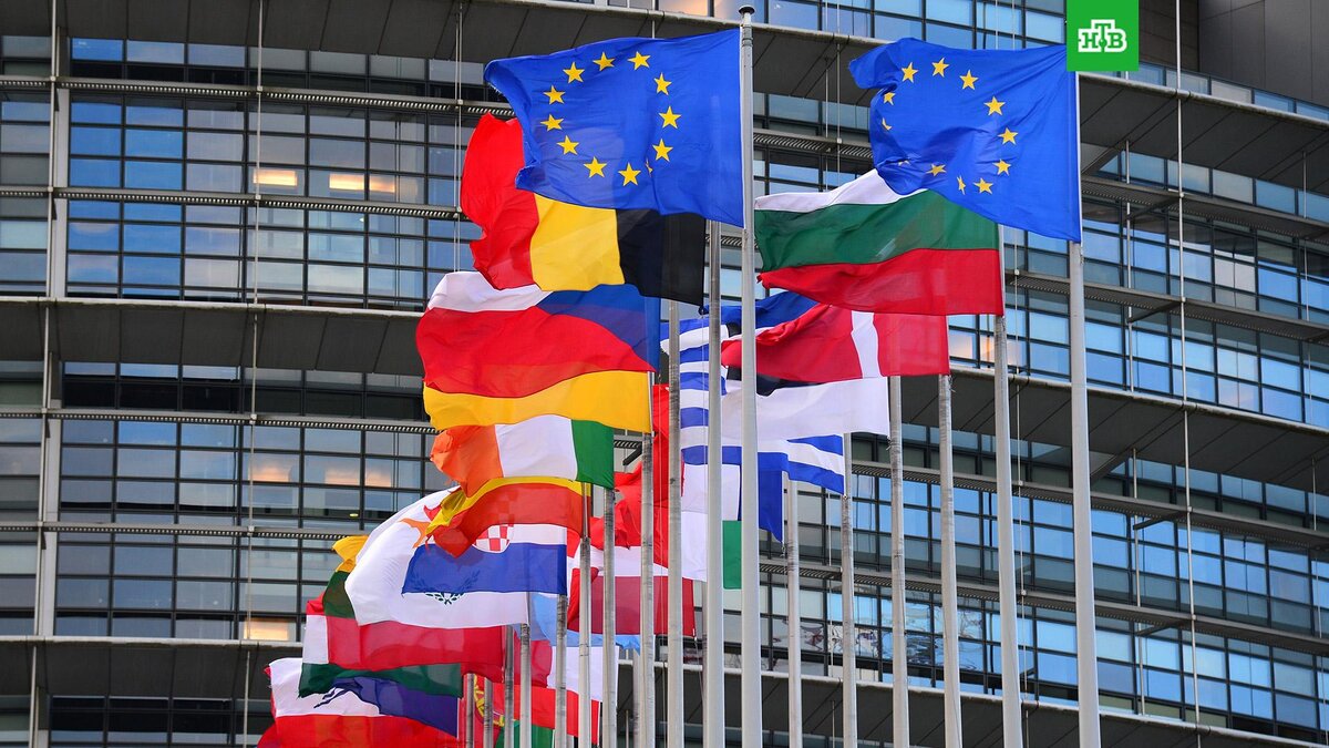    Фото: РИА Новости © 2022, Алексей Витвицкий