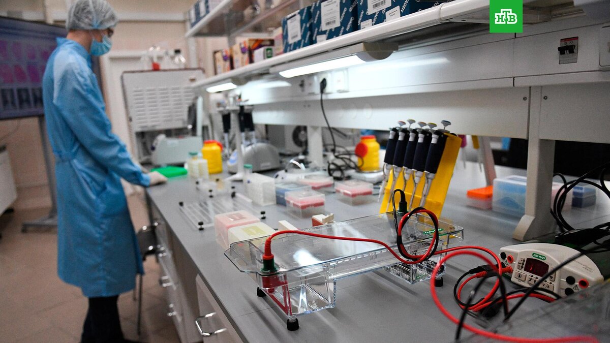    Фото: РИА Новости © 2022, Григорий Сысоев