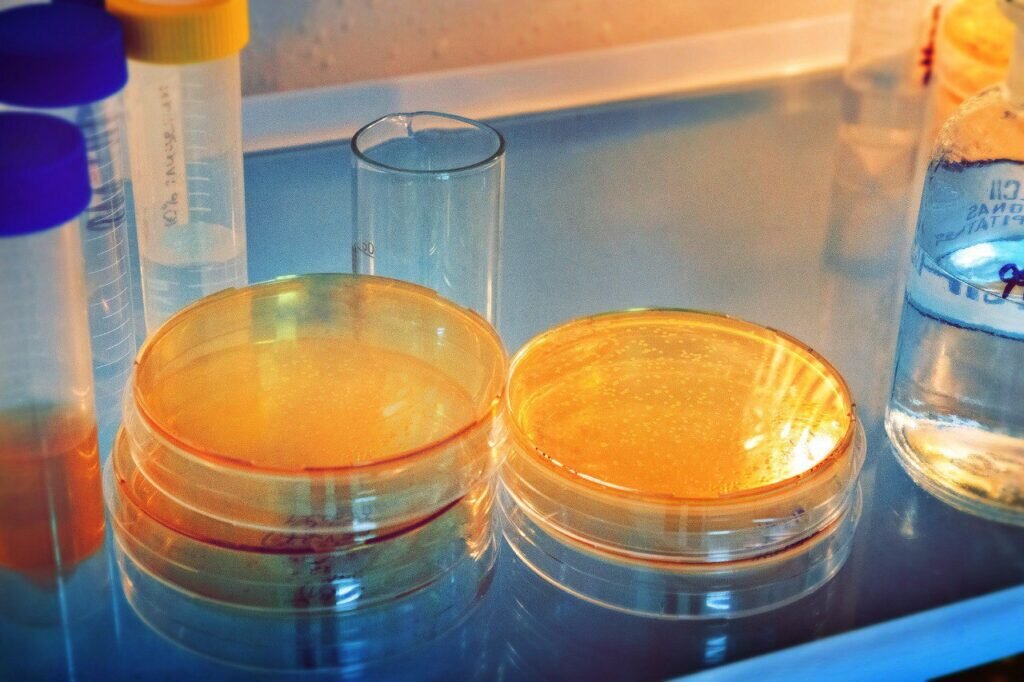    Разработан сверхбыстрый способ определения чувствительности к антибиотикам / ©Пресс-служба ННГУ