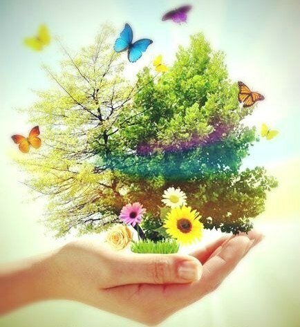 Фото из свободных источников сети Интернет. 