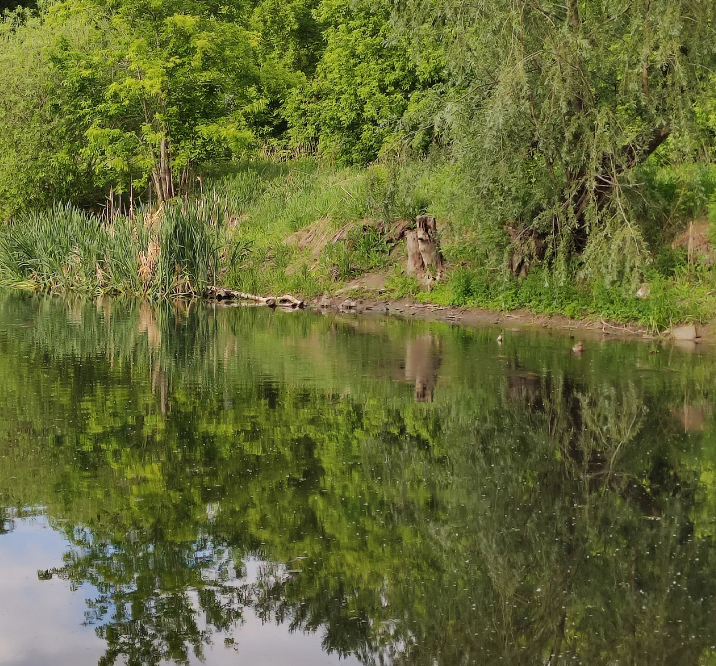 Фото озера, 2018г.