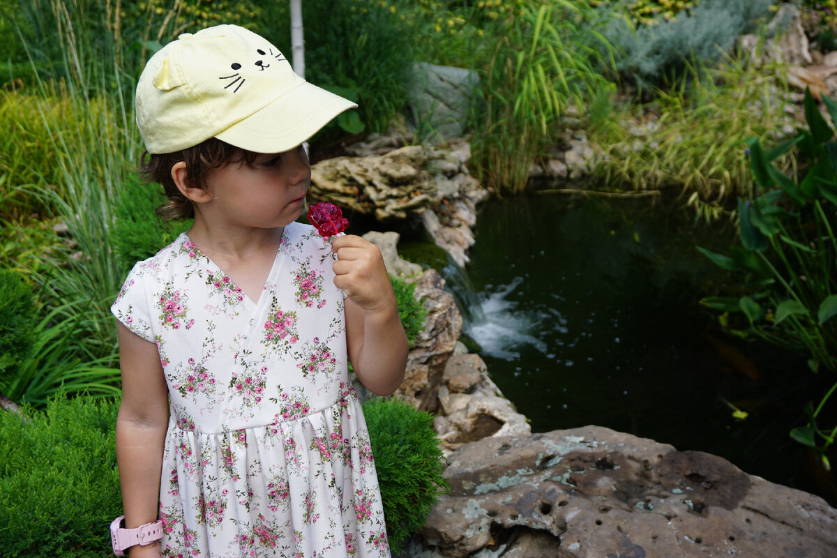 Фото из парка Лога. Там в прудиках плавают карпы, а рядом в автомате можно купить специальный корм и покормить их.