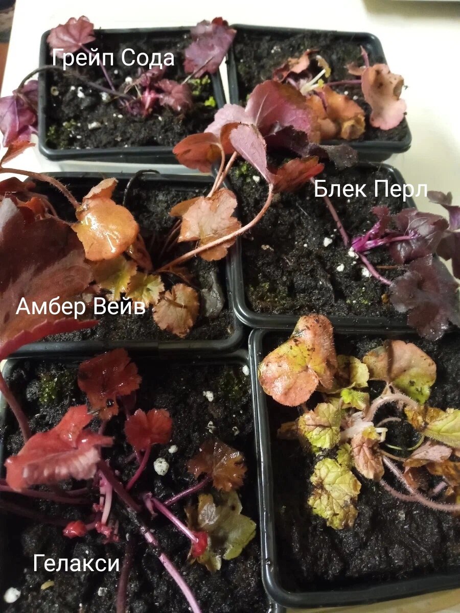 Вот так приехали