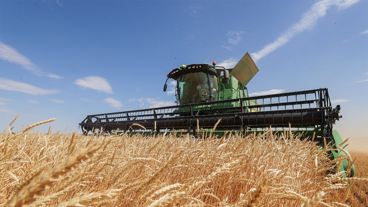    Фото Эрика Романенко / ТАСС