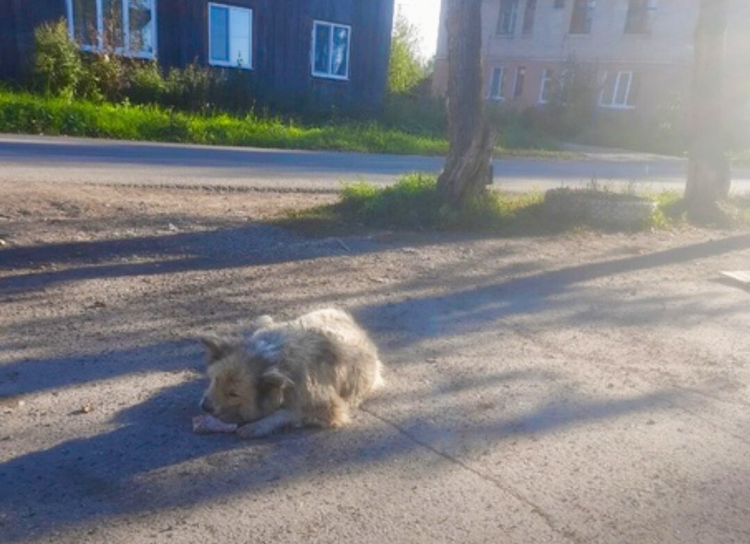  даже не приподнялась .