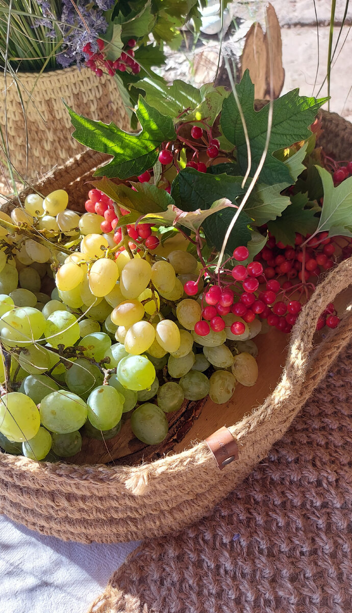Любой сад нуждается в уходе.Даже если просто посеять газон. 