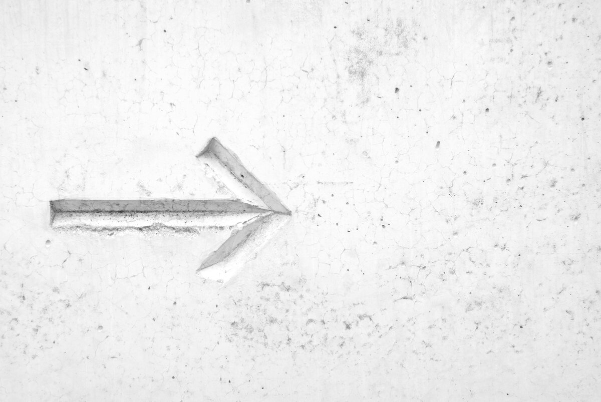 Взято с Unsplash.