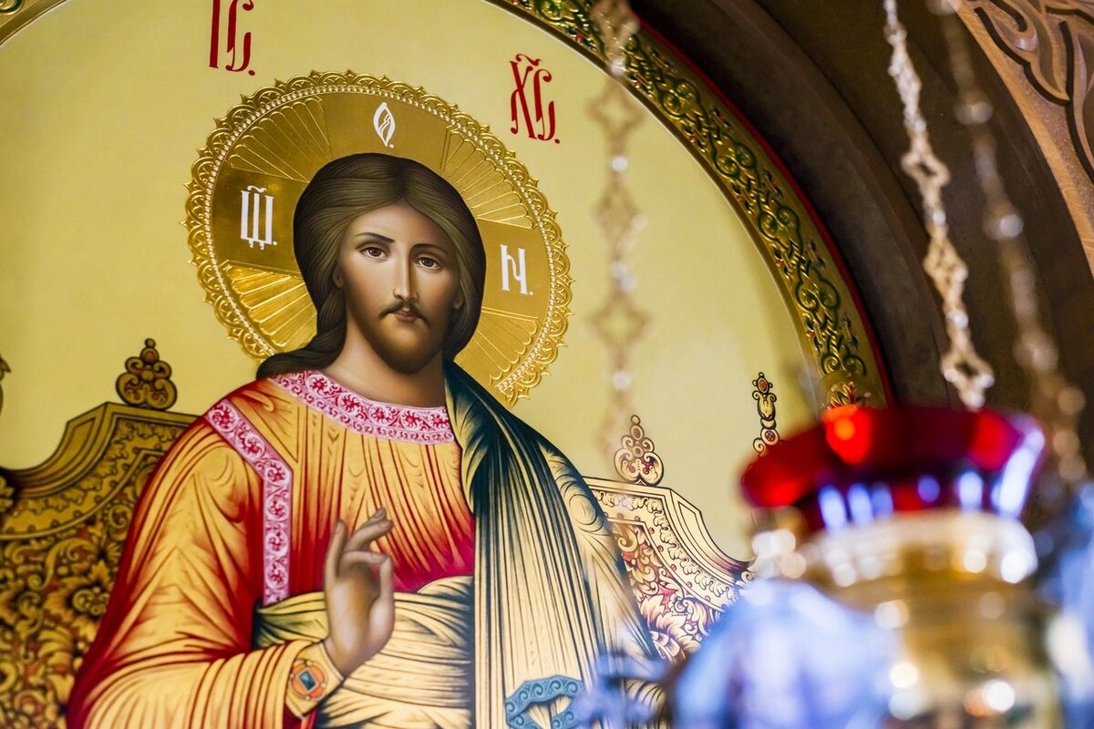 Фото взято из открытых источников