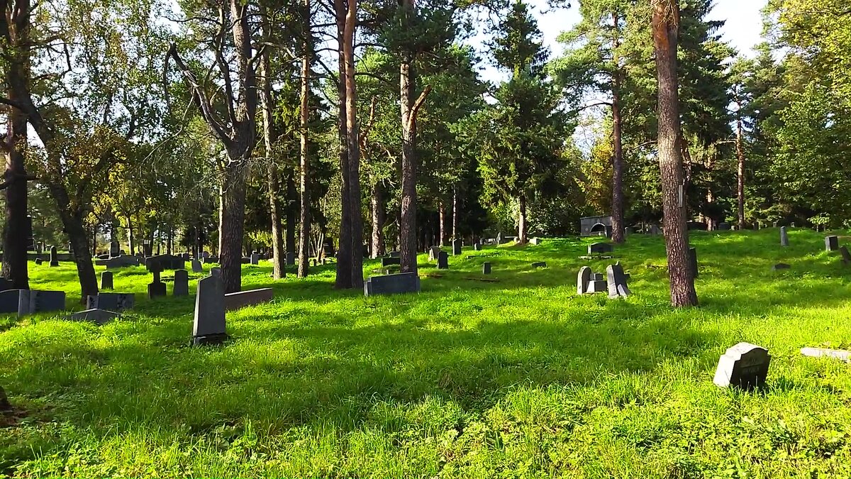 Трава покошена