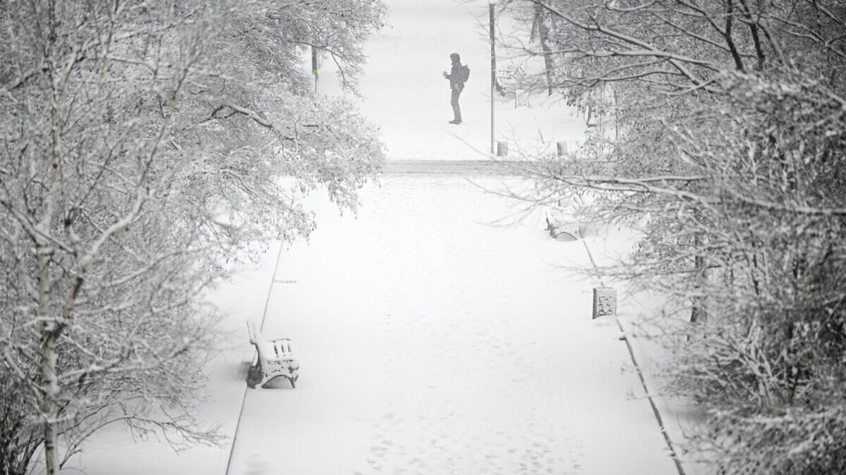    Снег в Москве© РИА Новости / Рамиль Ситдиков