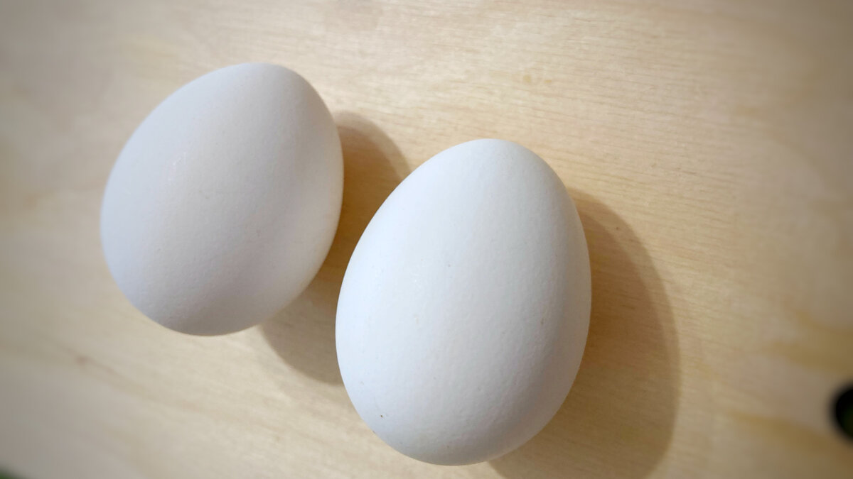 Из личного архива.