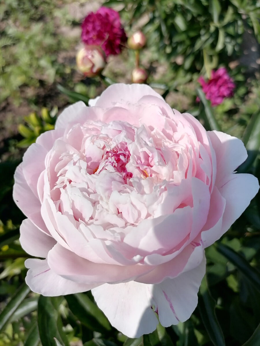 Фото из архива автора