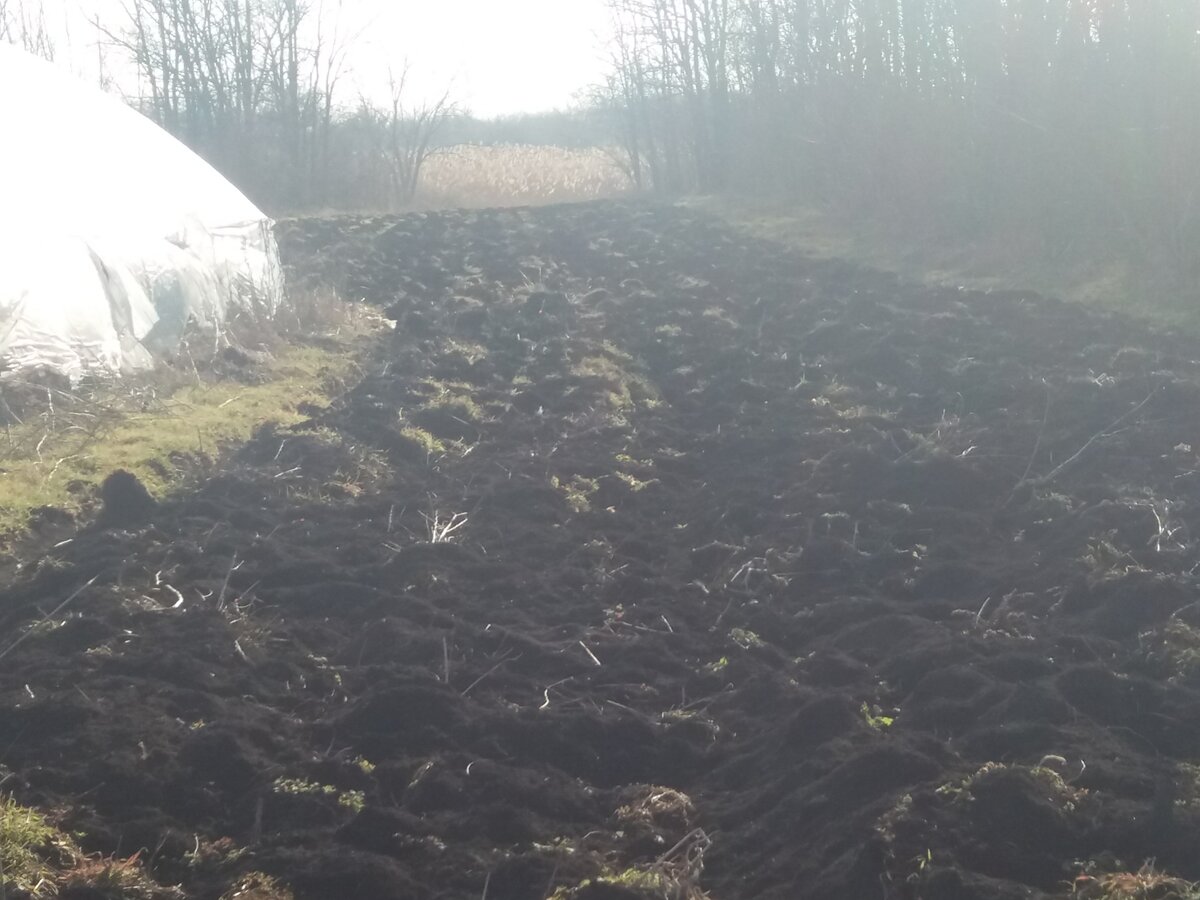 вот так выглядела земля после пахоты сейчас в январе.