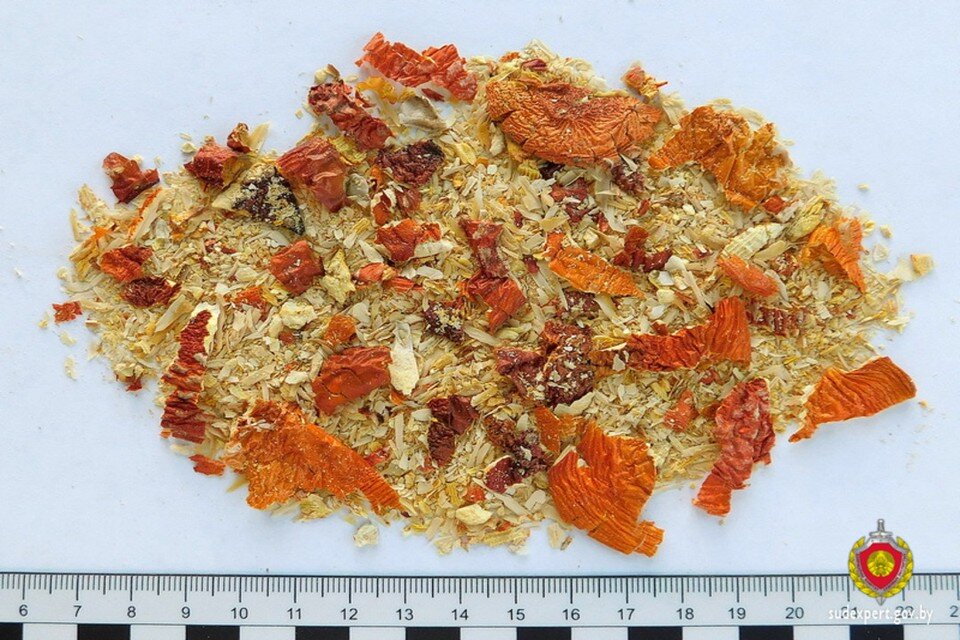     В Беларуси четверо подростков отравились мухоморами и попали в реанимацию. Фото: sudexpert.gov.by