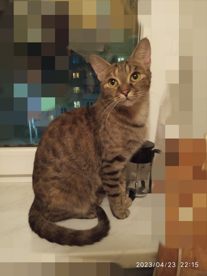 Где же ты. Мусин самый лучший Человек?