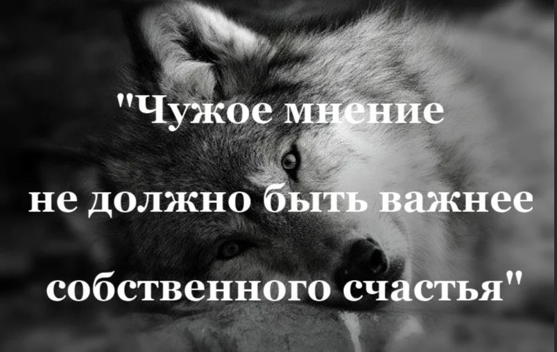 Нужно ли высказывать свое мнение. Чужое мнение цитаты. Цитаты про свое мнение. Цитаты про мнение других. Высказывания о чужом мнении.