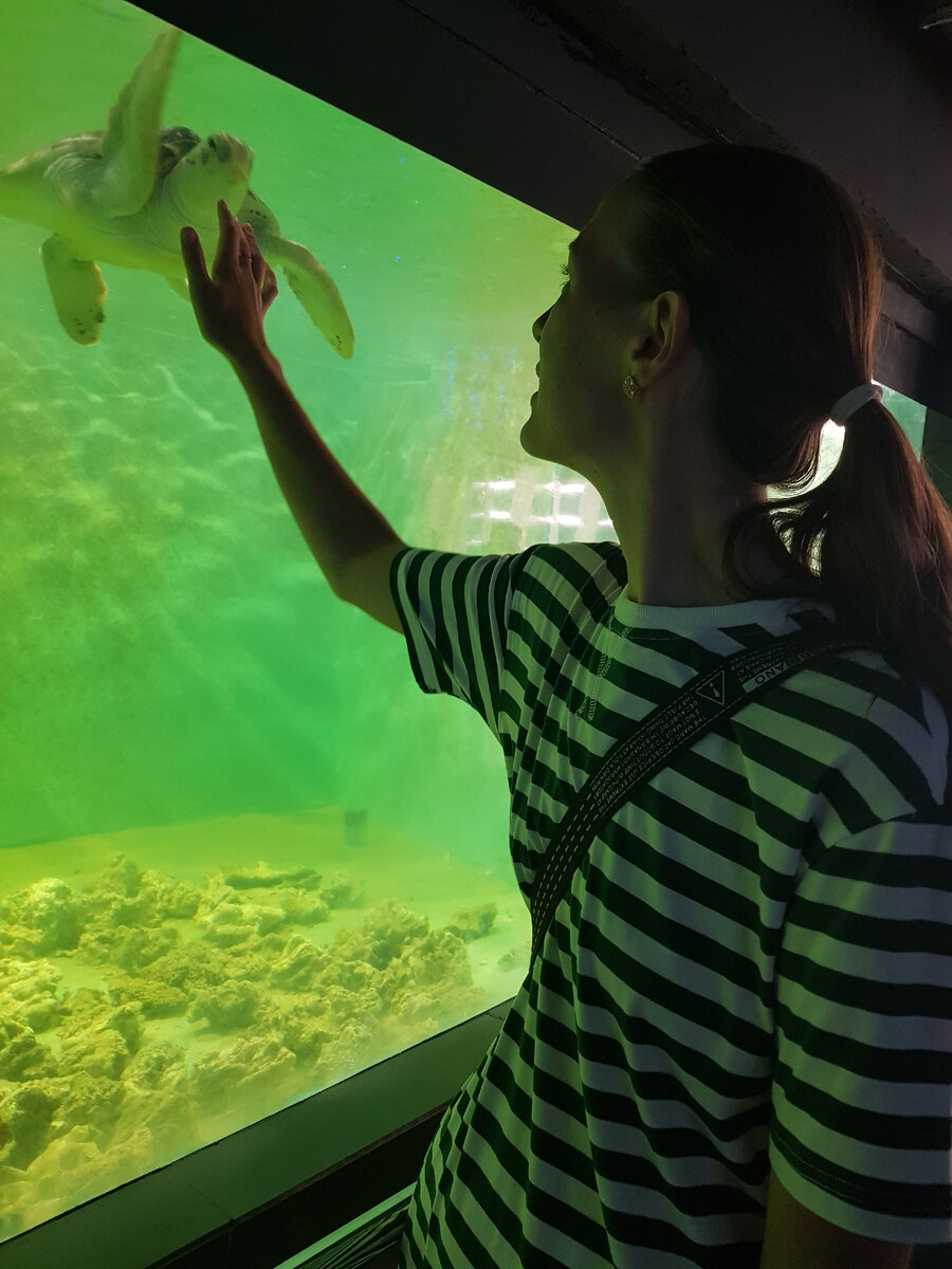 Фото автора черепашка милашка