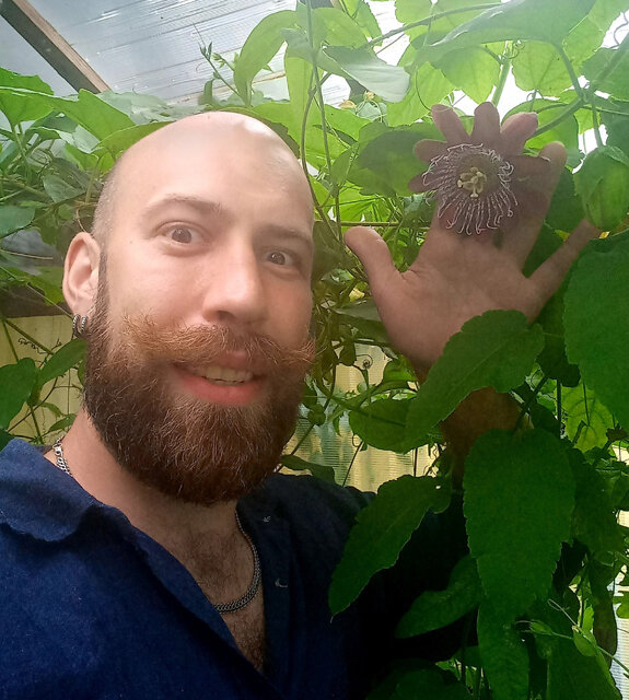    Некоторые цветы в диаметре превышают 12 сантиметров