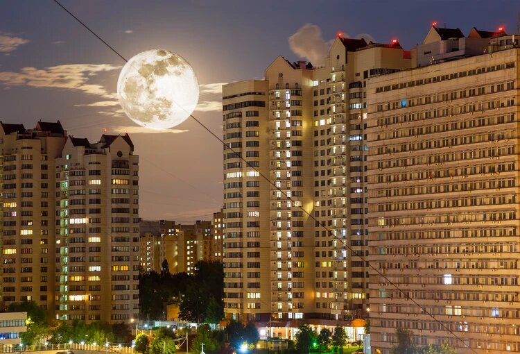 Фото: Shutterstock