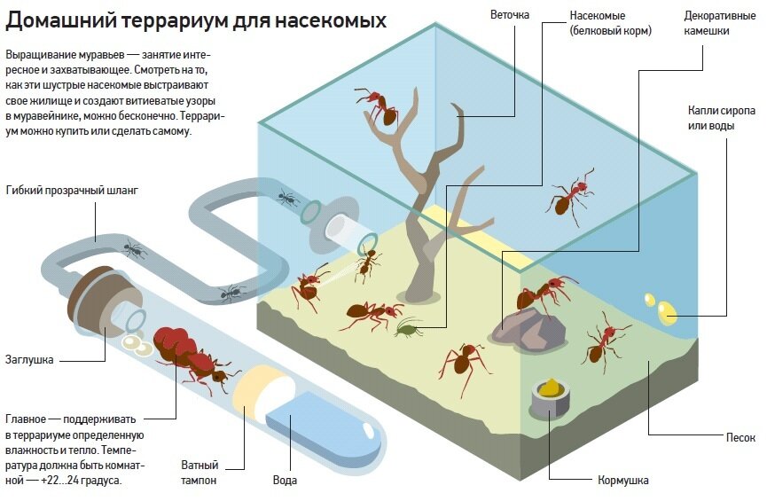 Наведите курсор на изображение