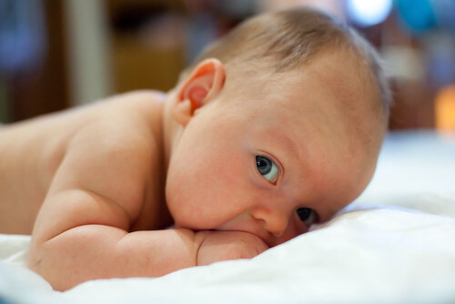 Как проходят первые дни новорожденного дома?