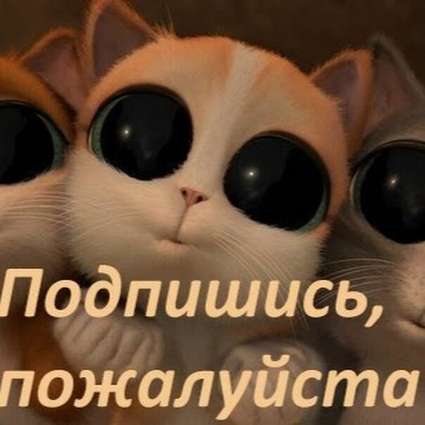 Котятам нельзя отказывать :)